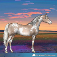 Horse Color:White Spotted Liver Chestnut Pearl Mushroom 