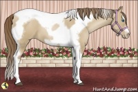 Horse Color:Grullo Pearl Splash Tobiano Frame