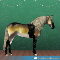 Horse Color:Void White Spotted Chocolate Palomino Onyx Tobiano Rabicano