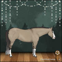 Horse Color:Smoky Grullo Splash 