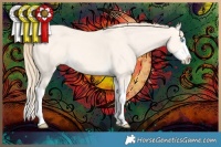 Horse Color:Perlino Dun Splash 