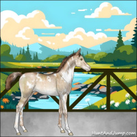 Horse Color:White Spotted Liver Red Dun Pearl Sabino Brindle 
