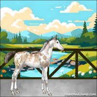 Horse Color:Gray White Spotted Brown Pearl Dun Splash Brindle 