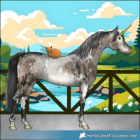 Horse Color:Gray White Spotted Brown Dun Mushroom Brindle 
