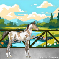 Horse Color:Gray White Spotted Brown Ice Pearl Dun Brindle 