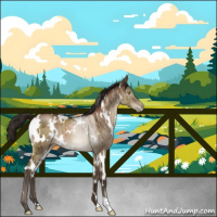 Horse Color:Gray White Spotted Brown Pearl Dun Mushroom Brindle 