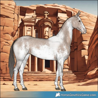 Horse Color:White Spotted Liver Red Dun Sabino 