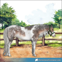 Horse Color:Liver Chestnut Mushroom Sabino Tobiano Rabicano 
