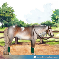 Horse Color:Gray Chocolate Palomino Tobiano Rabicano