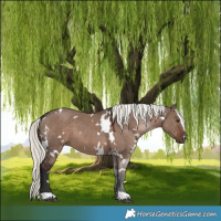 Horse Color:White Spotted Liver Red Dun Mushroom 