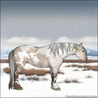 Horse Color:White Spotted Liver Red Dun Mushroom 