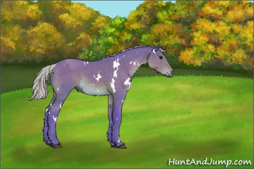 Horse Color:Watercolor White Spotted Silver Brown 