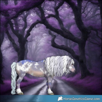 Horse Color:Watercolor White Spotted Silver Grullo 