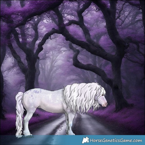 Horse Color:Watercolor White Spotted Silver Brown Dun Appaloosa 