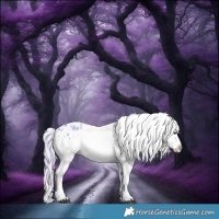 Horse Color:Watercolor White Spotted Silver Brown Dun Appaloosa 