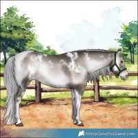 Horse Color:Platinum White Spotted Liver Red Onyx Tobiano 