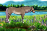 Horse Color:Painted White Spotted Liver Red Dun Rabicano 