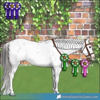 Horse Color:White Spotted Liver Red Dun Sabino Brindle 