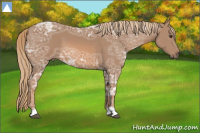 Horse Color:Chestnut Ice 