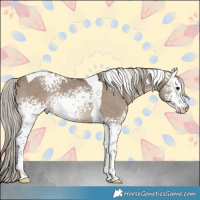 Horse Color:White Spotted Silver Grullo Tobiano Rabicano