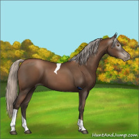 Horse Color:Gray Silver Black Pearl Tobiano