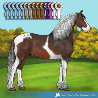 Horse Color:Brown Splash Tobiano