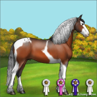 Horse Color:Brown Splash Tobiano