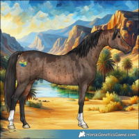 Horse Color:Bay Dun Brindle 
