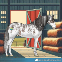 Horse Color:Liver Chestnut Sabino 