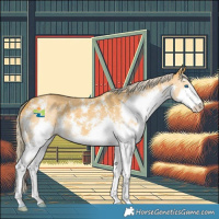 Horse Color:Palomino Sabino Splash 