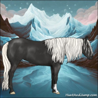 Horse Color:Liver Chestnut Mushroom 