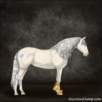 Horse Color:Cremello 