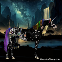 Horse Color:Painted White Spotted Bay Rabicano 