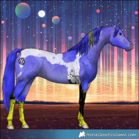 Horse Color:Watercolor Brown Tobiano 