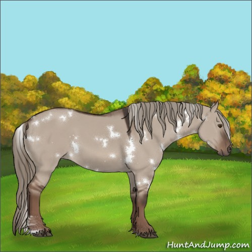 Horse Color:White Spotted Liver Red Dun Mushroom 
