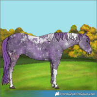 Horse Color:Watercolor Liver Chestnut Ice Tobiano 