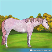 Horse Color:Watercolor Liver Red Dun Ice Sabino 