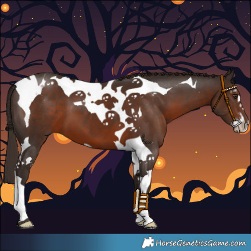 Horse Color:Liver Chestnut Sabino Tobiano 