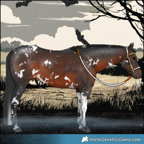 Horse Color:White Spotted Brown Tobiano 
