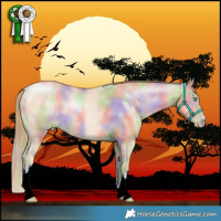 Horse Color:Nacre White Spotted Buckskin Pearl 