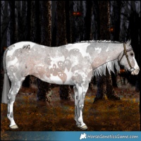 Horse Color:Brown Sabino Tobiano Varnish 