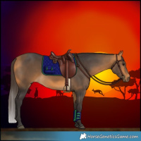 Horse Color:Buckskin 