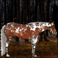 Horse Color:Silver Brown Sabino 