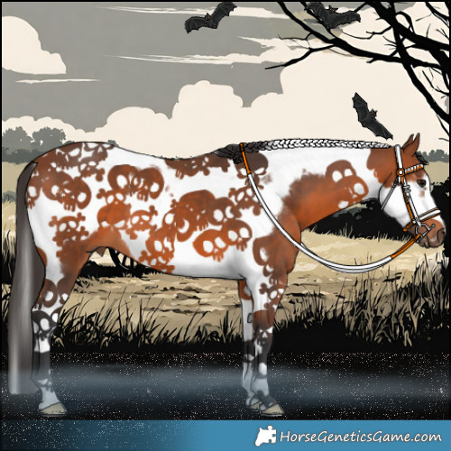 Horse Color:Bay Tobiano Frame 