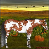 Horse Color:Bay Splash Frame