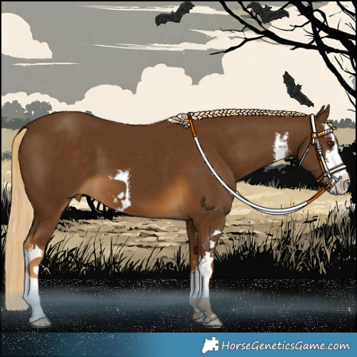 Horse Color:White Spotted Chocolate Palomino 