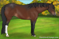 Horse Color:Brown 