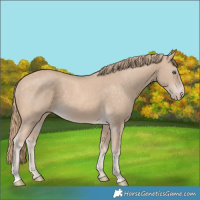 Horse Color:Perlino 