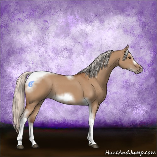 Horse Color:Silver Bay Dun Sabino Tobiano Frame Rabicano