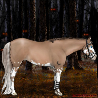Horse Color:Black Pearl Splash